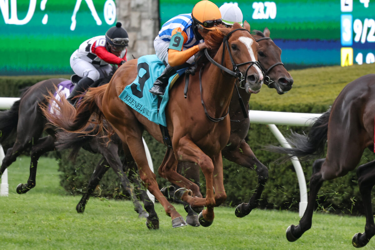 Dornoch Triumphs at Belmont, Building on West Paces Racing’s Success